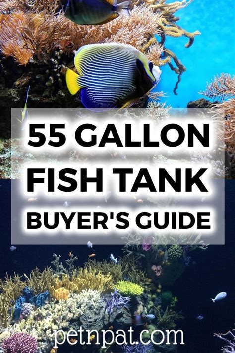 7 TOP 55 Gallon Fish Tank Reviews 2025: Best 55 Gal .